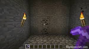 Items are the type of items that can be enchanted. Fortune In Minecraft