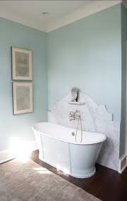 Set your store to see. Images Of Bathroom Painted In Eggshell Duck Egg Blue Ideas Pictures Remodel And Decor Eggshell Paint Is Between Matte Or Flat And Satin Paint Sheens Tisa Munsey