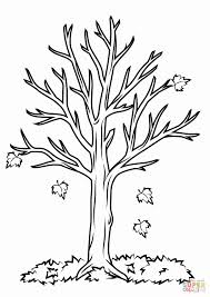 Pin By Molly On Autumn Leaves Leaf Coloring Page Tree Coloring Page Fall Coloring Sheets