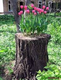 Bist Du Auf Der Suche Nach Originellen Blumenkastenideen Fur Den Garten 8 Fantastische Ideen Seite 7 Von 10 Diy Tree Stump Planter Flower Planters Plants