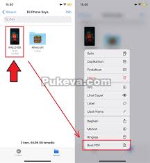 Cara mengubah file pdf menjadi jpg sebenarnya, ada banyak sekali cara mengkonversi dokumen ke gambar, baik secara online maupun offline. Cara Mudah Mengubah Foto Ke Pdf Di Iphone Atau Ipad Pukeva