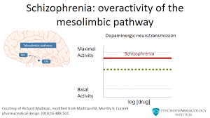Prompt action can help prevent further escalation of agitation. Mechanism Of Action Of Aripiprazole Psychopharmacology Institute