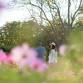 Explore Vergelegen’s Spring Gardens with Culture event image