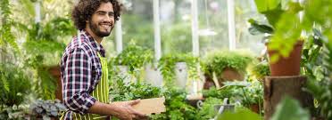 ▶ gartencenter in berlin kontaktdaten ⏲ öffnungszeiten bewertungen das telefonbuch ihre nr. Gruner Hollander Pflanzencenter Berlin Pankow Und Reinickendorf Eine Weitere Egesa Garten Netzwerk Website