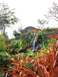 Helen And Brice Marden S Inn In Nevis In The Caribbean With Gardens Designed By Raymond Jungles Garden Design Jungle Gardens Outdoor Gardens Design