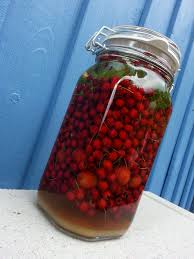 Weissdornlikoer Weissdorn Weissdornbeeren Fruchte