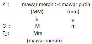 Pilihlah salah satu jawaban yang paling benar. Rangkuman Materi Contoh Soal Pola Hereditas Pembahasan