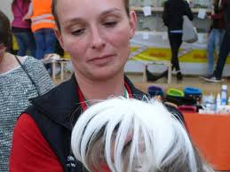 Meerschweinchenfreunde mit Jubiläumsschau