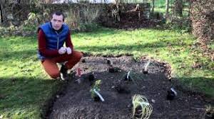 Allez voir nos pages de conseils de jardinage. Comment Creer Un Massif De Vivaces Youtube