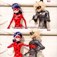 Mariquita is the common one but in some areas of mexico, where that is considered derogatory, they also call it catarina. Cn Comes Up With Ridiculous Fake Names For Them Ladybug What Did You Just Say Miraculous Ladybug Anime Miraculous Ladybug Memes Miraculous Ladybug Comic