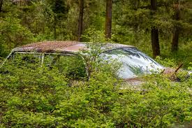 Maybe you would like to learn more about one of these? How To Legally Remove An Abandoned Car In Utah Tear A Part