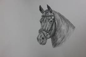 Getekend Portret Van Uw Paard Paarden Portret