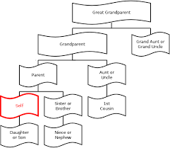 Relationship Terms Genealogy Quest