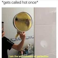 40 Funny Birb Memes Funnyfoto 709 x 548 jpeg 60 kb. 40 funny birb memes funnyfoto