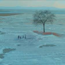 Speeches for veteran's day are common, but these five facts about veteran's day will gi. Stream Spring Day ë´„ë‚  Empty Arena Live Ver Bts By T 00 Listen Online For Free On Soundcloud