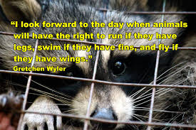 Quote Gretchen Wyler I Look Forward To The Day When Animals Animals Animal Rights Slogan