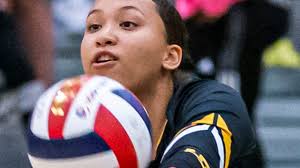 Greenfield at Brown Deer high school girls volleyball photos