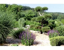 Weitere ideen zu garten garten ideen kreative garten ideen. Gartengestaltung Kreativ Garten In Aalen In Das Ortliche