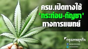 ผนึกภาคเอกชน มุ่งวิจัยและพัฒนา 'กัญชา กัญชง และกระท่อม' สร้างนวัตกรรมตอบโจทย์วงการแพทย์สู่ยาแผนไทยและแผนปัจจุบัน สู่การใช้ทางการแพทย์. à¸„à¸£à¸¡ à¹„à¸Ÿà¹€à¸‚ à¸¢à¸§à¹ƒà¸Š à¸à¸£à¸°à¸— à¸­à¸¡ à¸ à¸à¸Šà¸² à¸—à¸²à¸‡à¸à¸²à¸£à¹à¸žà¸—à¸¢
