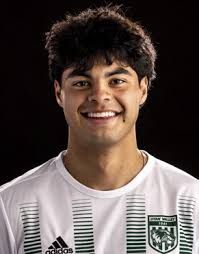 UTAH VALLEY UNIVERSITY WOLVERINES