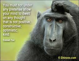 Positive Quotes Quotes About Being Positive Shinzoo Com Positive Quotes Funny Quotes Positive Quotes For Life