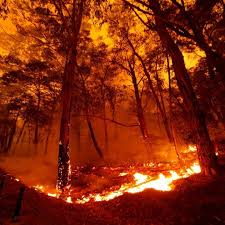 12 Sobering Photos Of Australia S Bushfire Smoke Reaching South America Australia Red Sky Photo