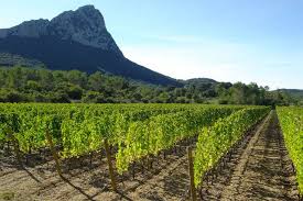 Pic Saint Louis Balades Autour Des Vins Du Languedoc Vin Du Languedoc Randonnee Paysage