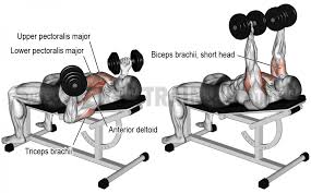 Epingle Par Cyril Sur Anatomie Musculation Pectoraux Musculation Entrainements Pour Pectoraux Entrainement Musculation