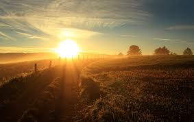 Image result for sunrise