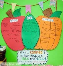 Pumpkins Everywhere And Making Connections Cara Carroll Fall Kindergarten First Grade Science Kindergarten Science