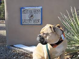 Stop by for a tour of our spacious pet resort. Dog Is My Copilot