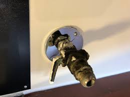 Learn vocabulary, terms and more with flashcards, games and other study tools. Webinar Recording Is Online Developing A Pest Exclusion Program For Cockroaches And Rodents Stoppests Ipm In Multifamily Housing Blog
