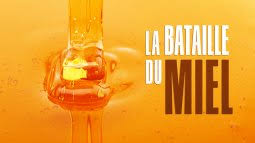 Le Doc Du Dimanche En Replay Revoir Toutes Les Emissions De Le Doc Du Dimanche En Replay