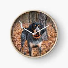 Learn living room (sitting room) vocabulary with pictures online. Bluetick Coonhound Home Living Redbubble