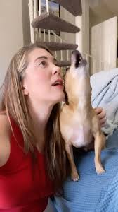 Somewhere Over the Casper. 🌈 #wizardofoz , ., ., ., ., ., #dorothyandtoto  #casperandpam #singingdog #dogsofinstagram #instadog #dogoftheday  #chihuahua #classic #viralvideos #funnydogs #funnyvideos ...