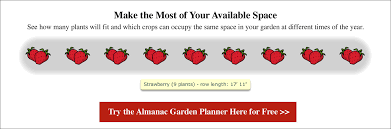 Spacing for fruit trees is determined by the type of tree, soil quality, expected tree height and canopy for the mature tree, and it says height and spacing chart. Strawberries Planting Growing And Harvesting Strawberries At Home The Old Farmer S Almanac
