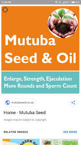 silver fox male enhancement