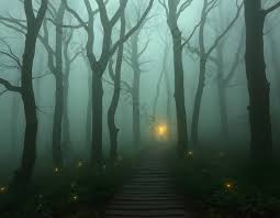 ‫غابة‬‎ ile ilgili görsel sonucu