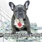 Building Wealth Through Real Estate