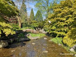 Die schaugewächshäuser befinden sich am alten standort des botanischen gartens in der innenstadt am dammtor (heute: Planten Un Blomen Hamburgs Schonster Park Travelinspired