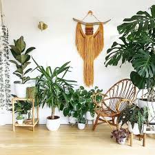 50 Astonishing Indoor Garden Ideas With Pictures Yhmag