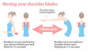 shoulder blade exercises to burn fat