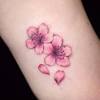To tell a story through the season, the composition, and the poetic movement of a flower. Https Encrypted Tbn0 Gstatic Com Images Q Tbn And9gctcprzqwp Xiv Reoho U5p Gtpd7okyt89w0nhq0o Fu3ync42 Usqp Cau
