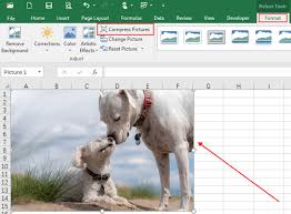 The best way to reduce the. How To Reduce The File Size Of Images In Microsoft Excel My Microsoft Office Tips
