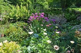 Maybe you would like to learn more about one of these? Cottage Garten