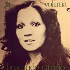 Buscando Cariño — yolima perez