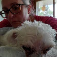 Where can I find places in Bettendorf/Davenport that sell slices of pizza  for lunch near Spruce Hills Drive/Utica Ridge Rd?