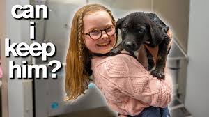 If interested in seeing what is available go to. 10 Year Old Has Only 10 Minutes To Adopt A Puppy Emotional Youtube
