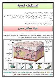 التنسيق عبر المزج بين التنسيقين السابقين. Ø§Ù„ØªÙ†Ø³ÙŠÙ‚ Ø¹Ù„ÙˆÙ… Ø§Ù„Ø·Ø¨ÙŠØ¹Ø© Ùˆ Ø§Ù„Ø­ÙŠØ§Ø© Ù…ØªÙˆØ³Ø· Ø¨Ù† Ø¯Ø§ÙˆØ¯ÙŠØ© Ø¹Ø¨Ø¯Ø§Ù„Ø±Ø²Ø§Ù‚ Facebook