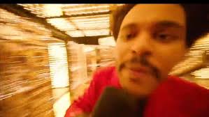 haley montoya (@haleeesm)